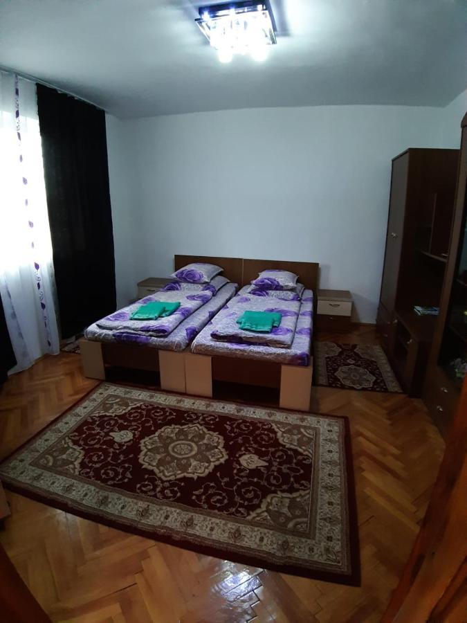Pensiunea Covaciu Vadu Izei Zewnętrze zdjęcie