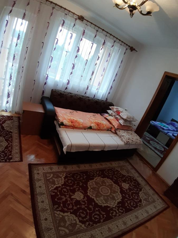 Pensiunea Covaciu Vadu Izei Zewnętrze zdjęcie