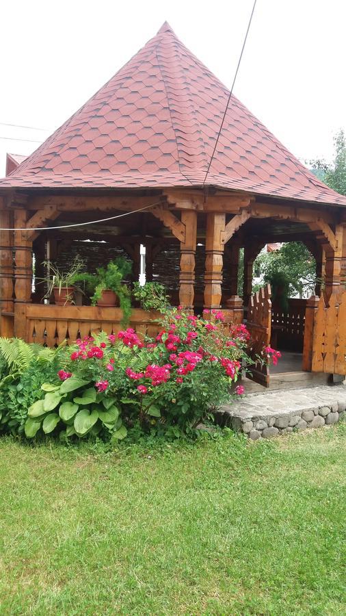 Pensiunea Covaciu Vadu Izei Zewnętrze zdjęcie